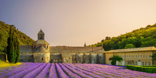 Taste of Provence | Travel Unrivaled