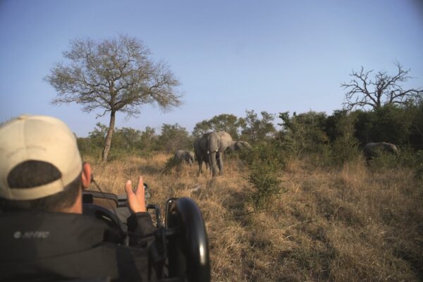 Kruger National Park Reserve