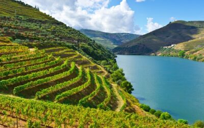 Unveiling the Mystique: Exploring Portugal’s Enchanting Douro Valley