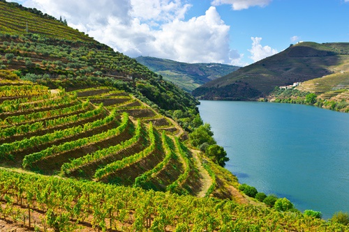 Unveiling the Mystique: Exploring Portugal’s Enchanting Douro Valley