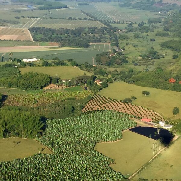 Hacienda Bambusa Armenia Colombia