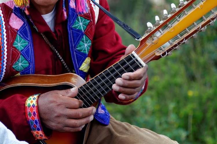 Charango Guitar Player