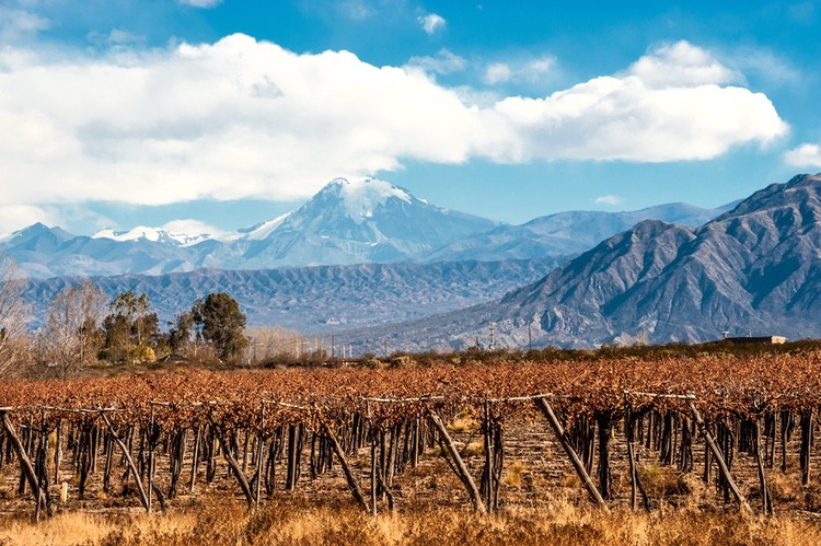 Exploring Argentina’s Wine Wonderland