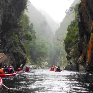 South Africa Multi-Adventure Unrivaled & Beyond